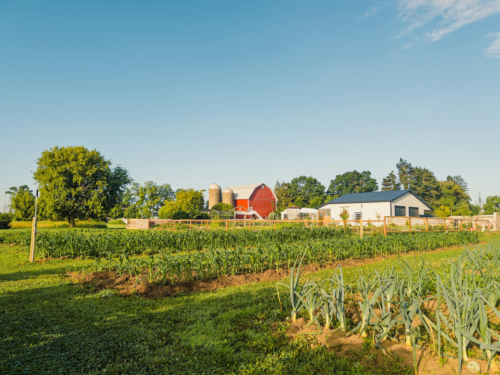 sunny farm landscape in alto michigan
